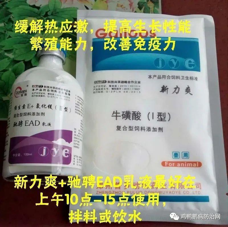 2025年5月8日 鸭蛋 肉鸭 鹅蛋 麻鸭 市场价格走势