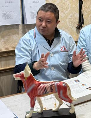 白朝勇：中兽药临床治疗的有效性分析