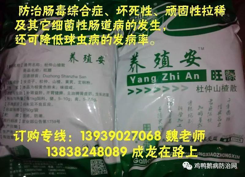 养殖安 杜仲提取物在种兔养殖上的应用