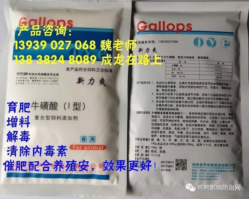 2025年6月4日 鸡蛋 淘汰鸡 毛鸡 817肉鸡 价格行情走势
