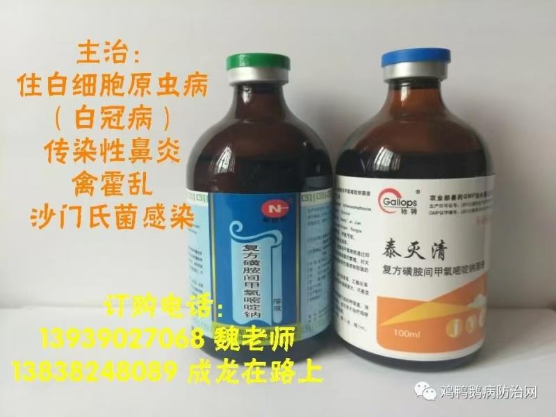 行情 | 6月跳水，7月迷雾，白羽肉鸡行业如何破局？