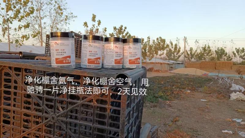 真正的强者，都是用心的高手