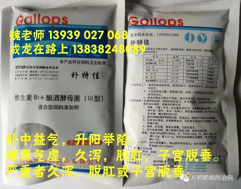 2025年11月04日 猪价大部分地区价格飘绿