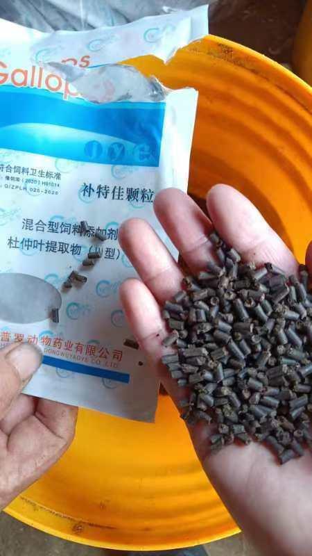 2026年4月18日 最新活羊价格行情走势汇总