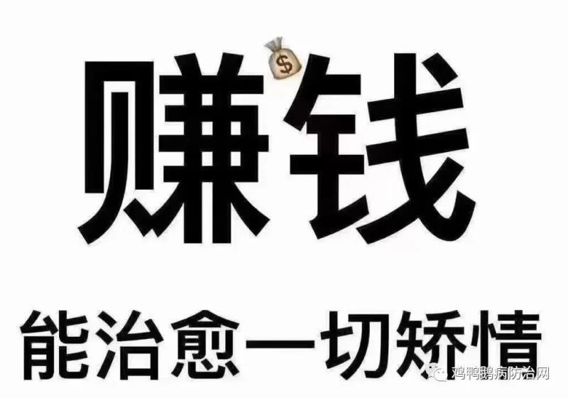 你要学会，收拾伤害你的人
